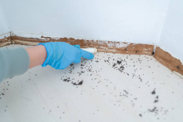 Best Pest Prevention Services  in Upper Saddle River, NJ